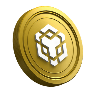 Binance BNB crypto coin shown on the guide page for new traders